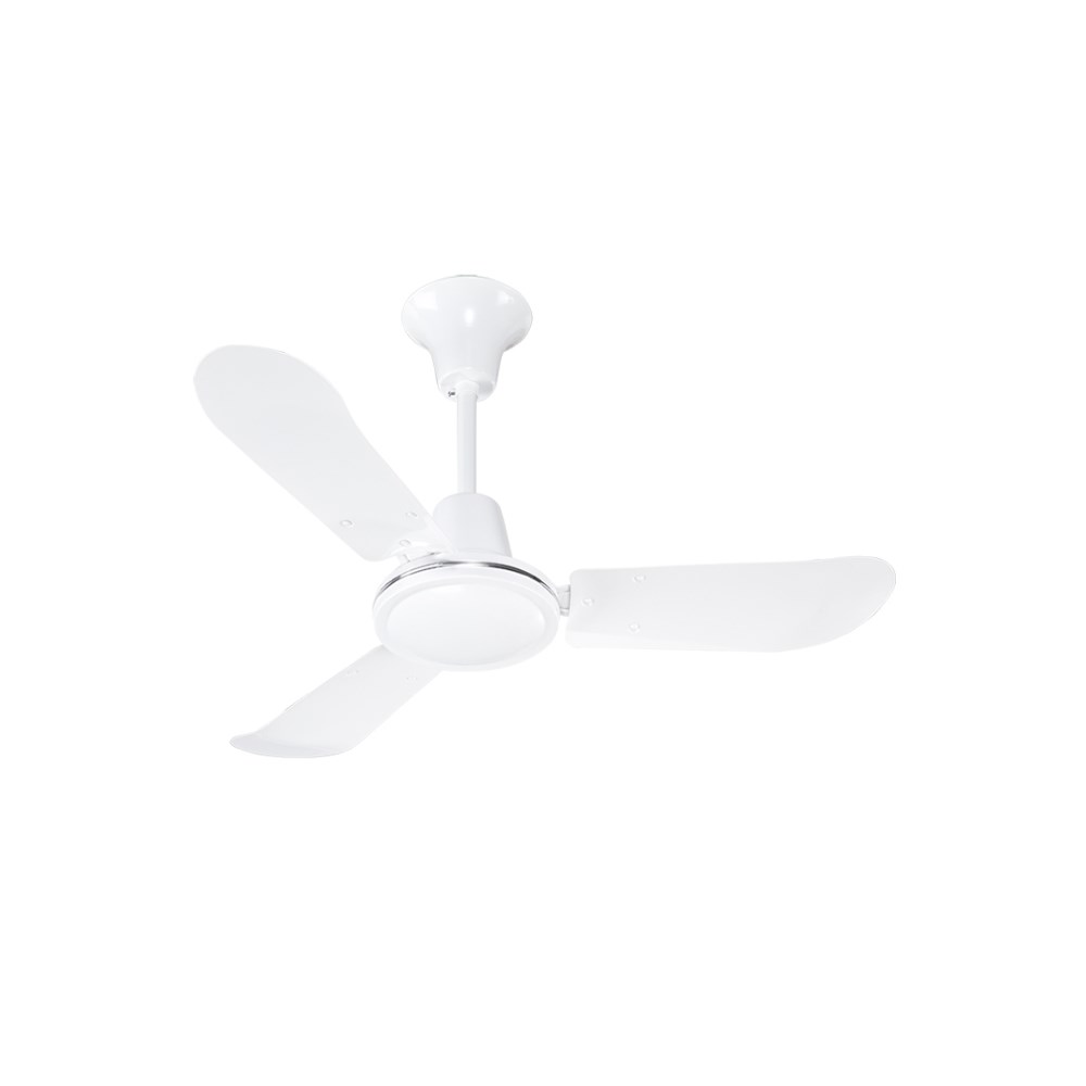 BAN-FP36_1 - 20e195d2-b643-4033-8aea-3113e090674f.jpg